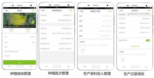 大田智慧農業投資1.28億元數字化服務，推動農產品安全生產與數字內容制作